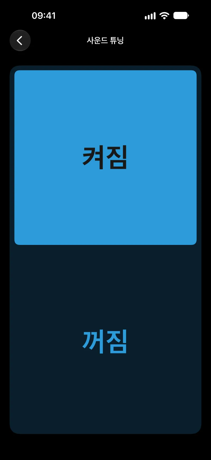 iPhone의 BimmerLink 사운드 튜닝 화면