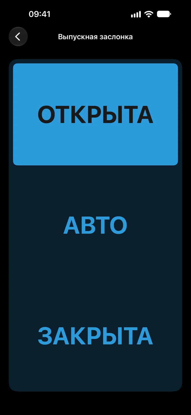 Экран управления выпускной заслонкой в BimmerLink на iPhone